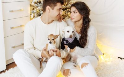 Healthy Dog & Cat Food