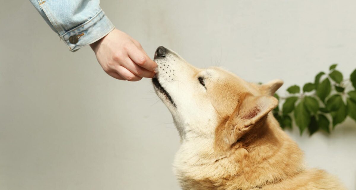 pexels-maksgelatin-4422098