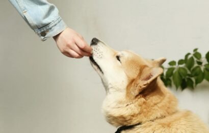 pexels-maksgelatin-4422098