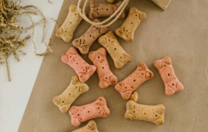 pexels-rdne-7310213 pexels-rdne-7310213